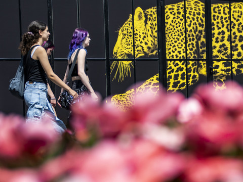 Isabella Rossellini illumine l’ouverture de Locarno