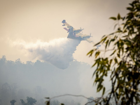 Incendie de forêt en Andalousie: 4000 hectares touchés