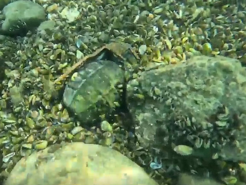 Des baigneurs trouvent une grenade à main dans la Limmat à Zurich