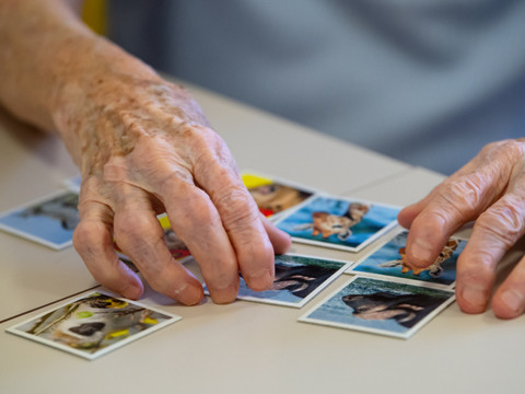 Roche: feu vert de la FDA pour un test de la maladie d'Alzheimer