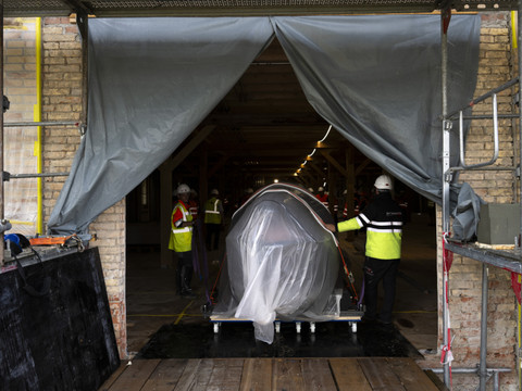 La baleine du Musée d'histoire naturelle de Fribourg a déménagé