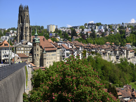 Fribourg: 23 mesures pour renforcer l’action climatique de l'Etat
