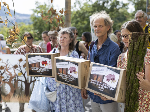 Forêts: plus de 72'000 signatures pour maintenir la pression