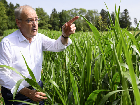 Manque de fourrage: Guy Parmelin visite une exploitation vaudoise