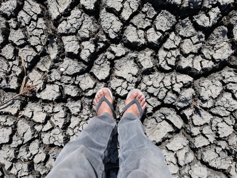L'étude des coraux montre qu'El Niño s'intensifie avec le climat