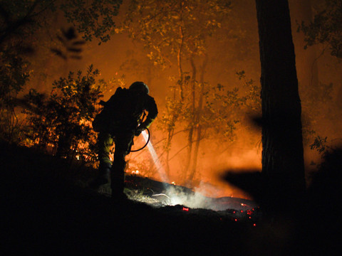 Incendie dans le Cap Corse : 130 hectares de végétation parcourus