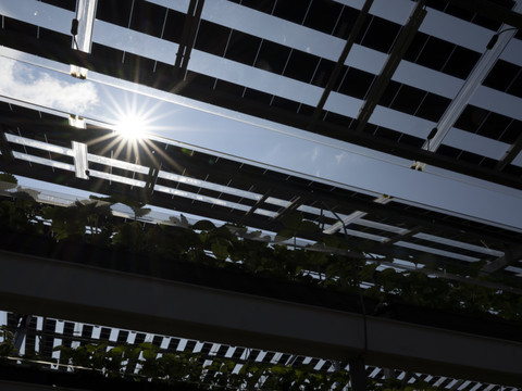 Les mesures pour la protection du climat séduisent les Suisses