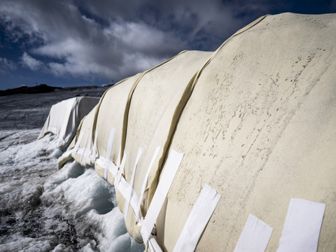 Et si la laine de mouton servait à limiter la fonte des glaciers