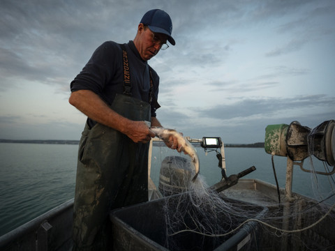 Les pêcheurs créent la marque 
