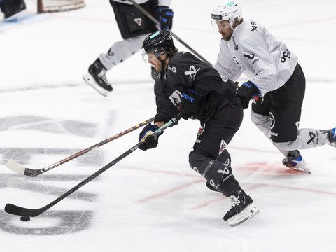 Une première défaite pour Fribourg-Gottéron en CHL