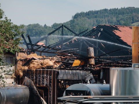 Environ 250 bovins périssent dans un incendie à Palézieux