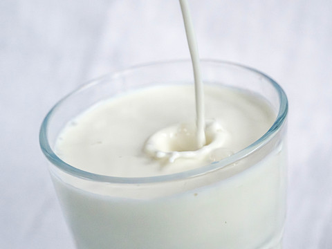 L'EPFL trouve des composés du caoutchouc dans du lait