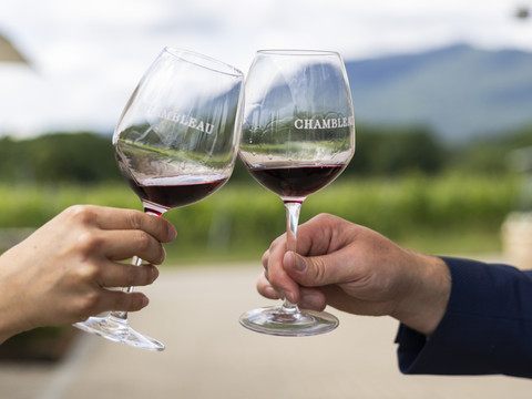 Sécheresse: les viticulteurs doivent pouvoir faire des réserves