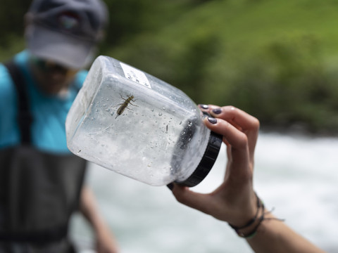 Le projet fédéral sur les PFAS attaqué de plusieurs côtés