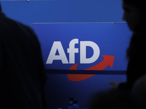 Régionales en Allemagne : l'AfD à nouveau en forte progression