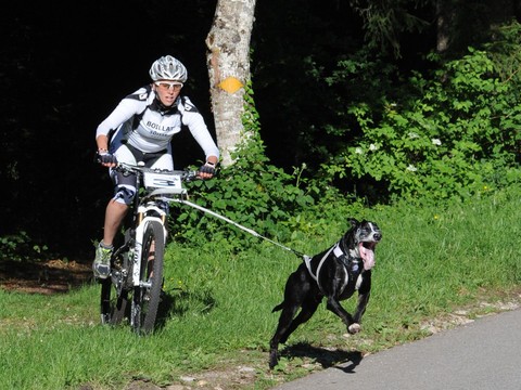 Séverine Boillat et Tymon ont raflé une nouvelle victoire