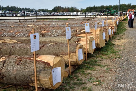  Les propriétaires forestiers ne voient toujours pas de signes de reprise.