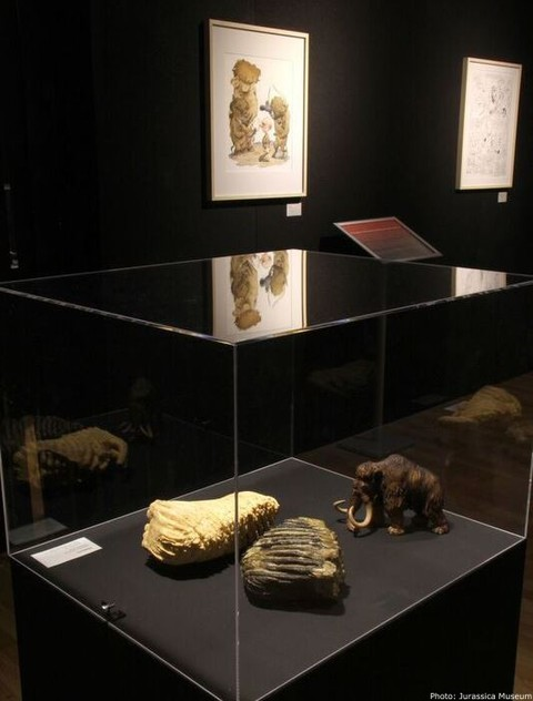 L'exposition