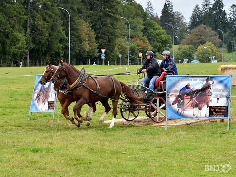 La Route de la Tête de Moine a vécu sa 10e édition à Saignelégier