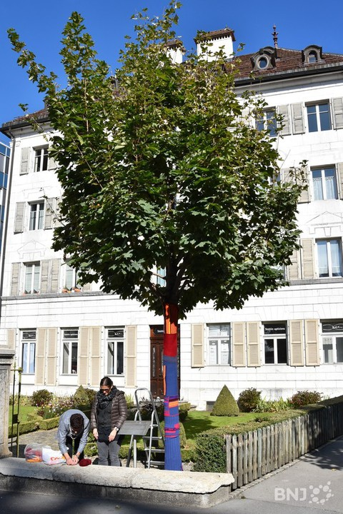 La section Chaux-de-Fonds et environs de la Société suisse de la sclérose en plaque habille des arbres pour récolter des fonds en faveur des malades.