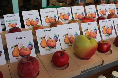 Marché de Lovresse
