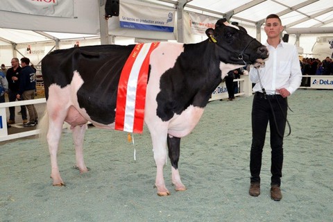 Arc Jurassien Expo championne Suprême race laitière
