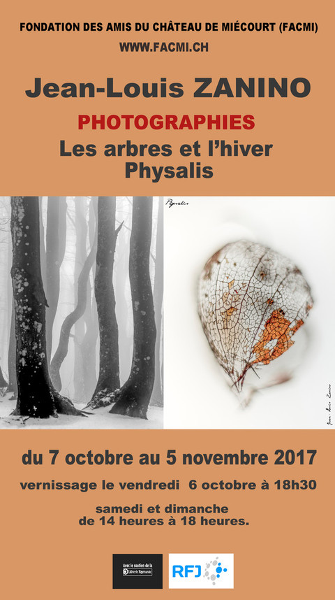 Physalis, FACMI, Jean-Louis Zanino