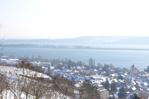 Vue de La Neuveville