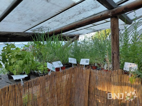 Jardin des Senteurs