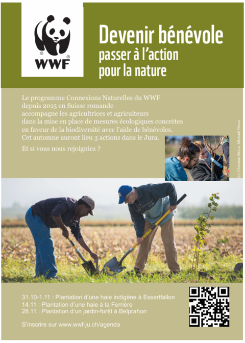Plantation d'une haie à La Ferrière