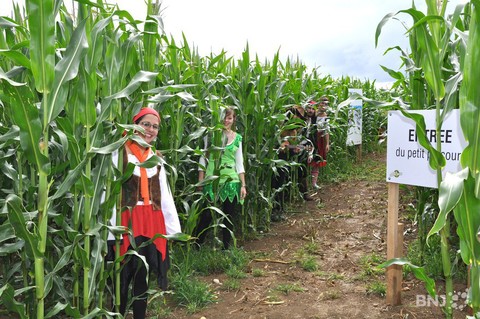 Les acteurs du Swiss Labyrinthe