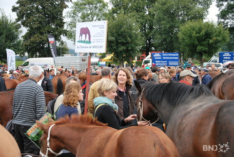 Vue de la Foire de Chaindon 2012