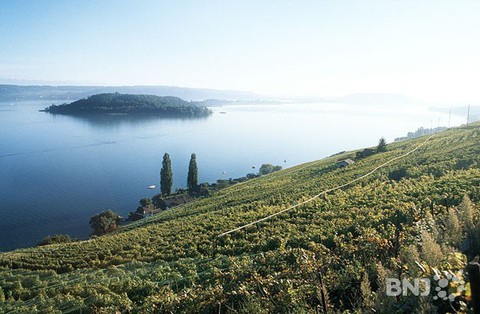 Lac de Bienne