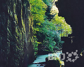 Le chemin du Taubenloch