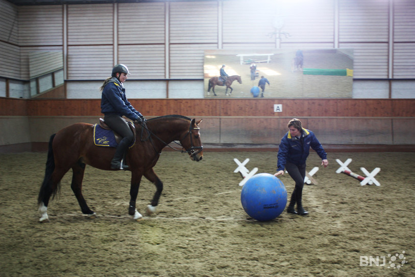 Dompter son cheval est un travail de longue haleine