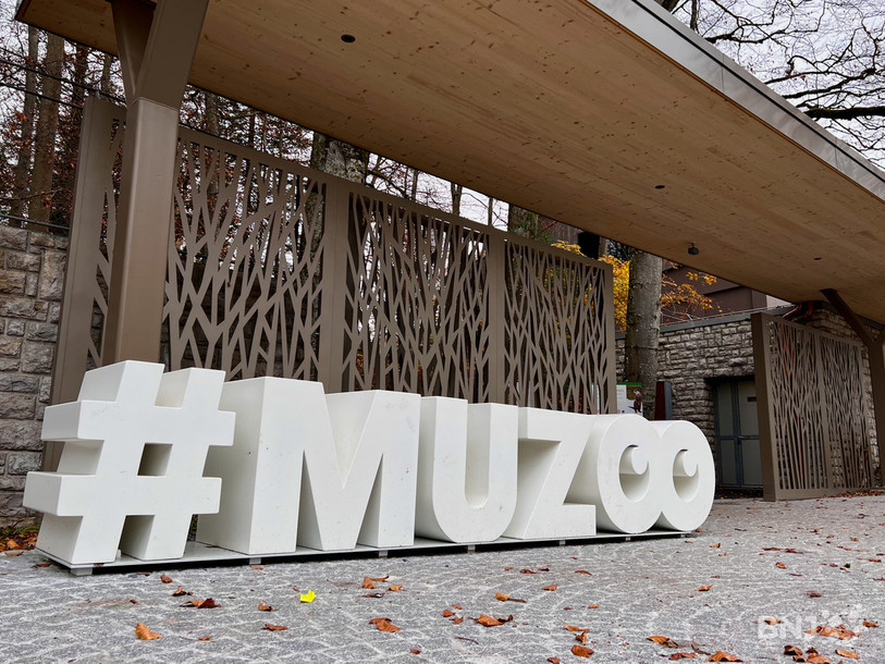 Le Muzoo à La Chaux-de-Fonds.