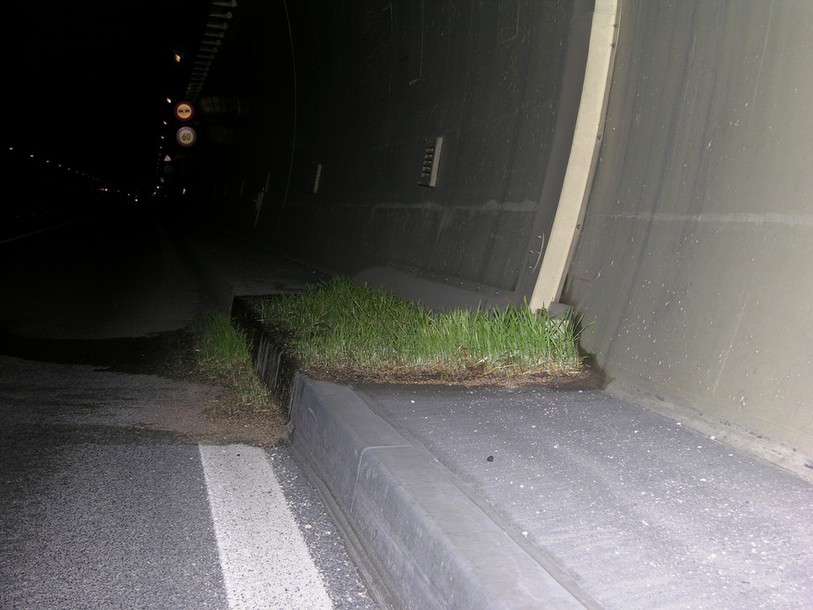 Une scène qui devrait disparaître du tunnel du Mont-Terri