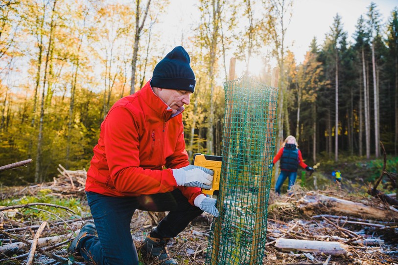 BCJ