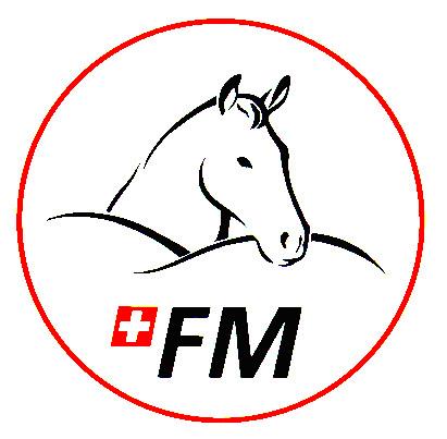 FSFM