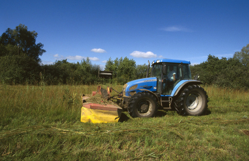 Dans les parties les plus sèches des marais, le fauchage peut être opéré avec un équipement standard. © Christophe Le Nédic - Grande Cariçaie