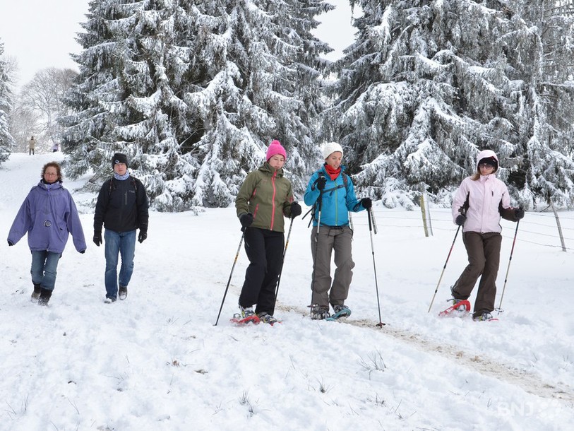 Snow Up
