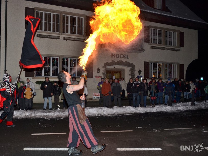 Carnaval du Jura 2013