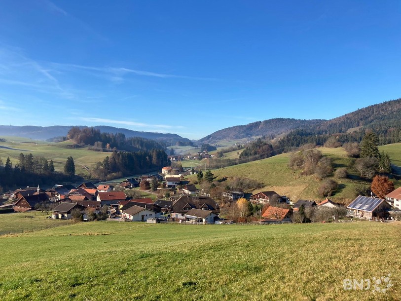 La vue sur Saules.