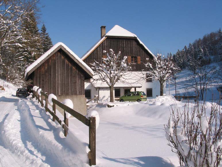 L'aménagement de la station naturelle d'épuration devrait commencer ce printemps (photo: combetabeillon.ch)