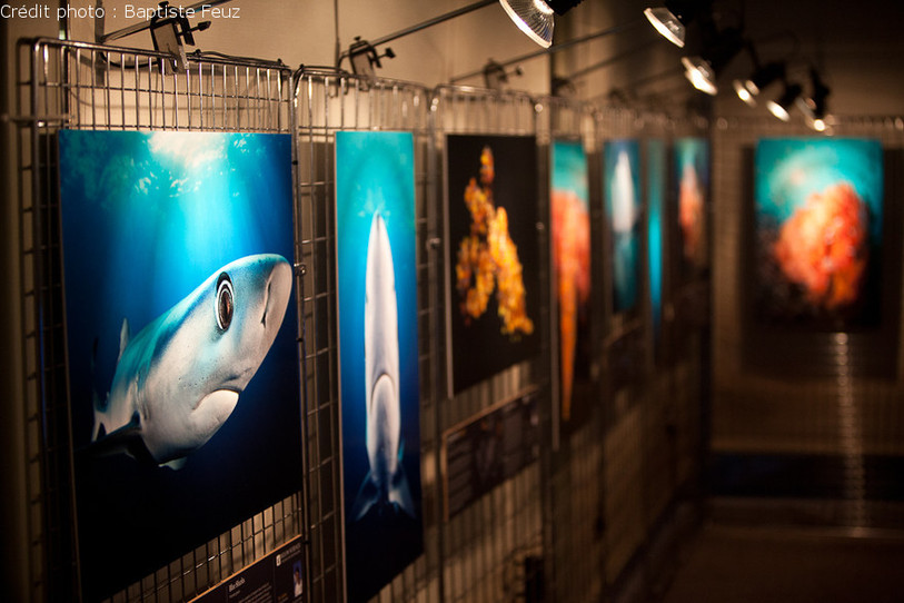 Les visiteurs ont aussi pu découvrir une exposition de photos dans le hall de l'aula.