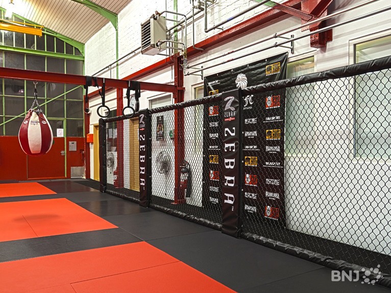 Fight move academy