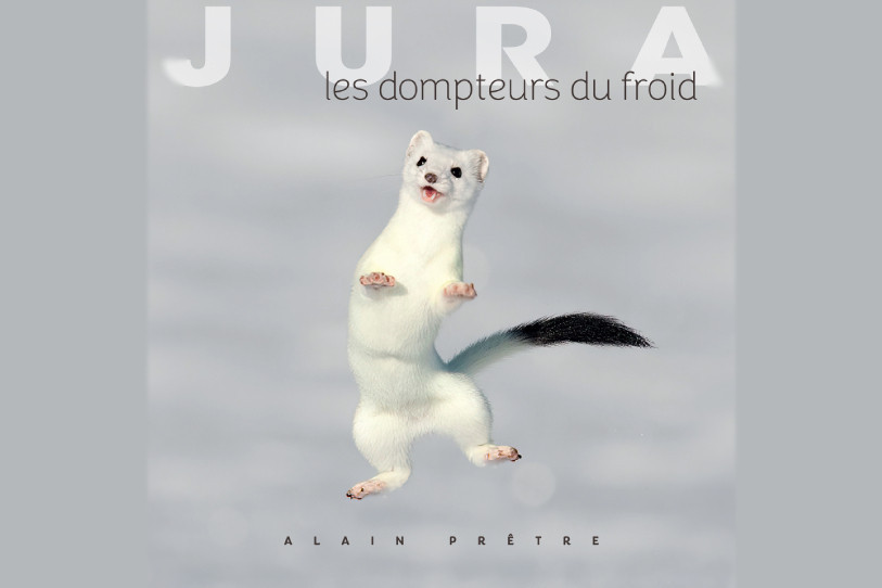 Le livre d'Alain Prêtre, intitulé