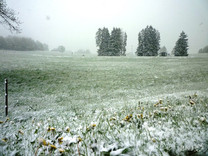 neige