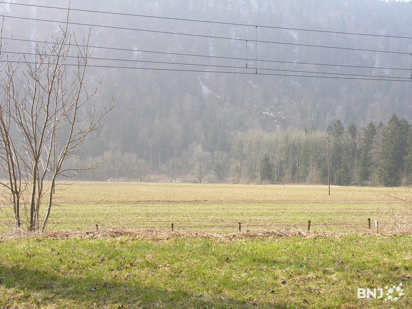 C'est sur une parcelle agricole de ce secteur de Noiraigue que le forage est envisagé.