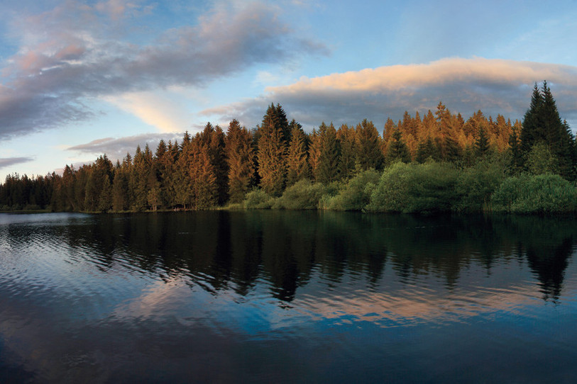 Vue de l'Etang de la Gruère